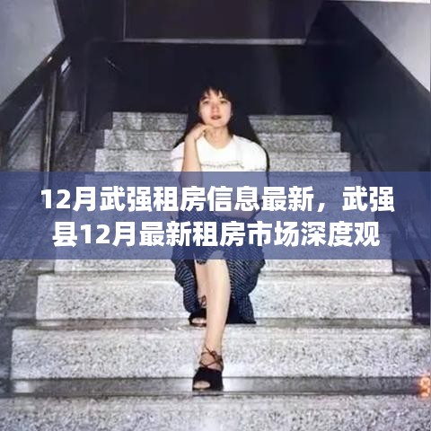 武强县租房市场深度观察，最新房源动态与地域影响分析（深度解析）