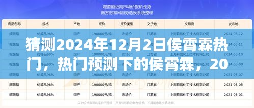 侯霄霖热门预测，展望2024年12月2日的可能性与热门展望