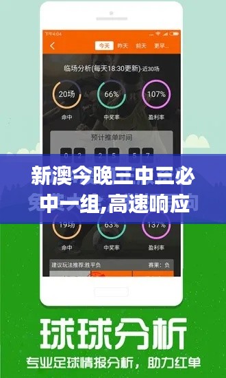 新澳今晚三中三必中一组,高速响应解决方案_M版26.736-9