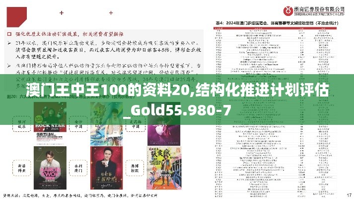 澳门王中王100的资料20,结构化推进计划评估_Gold55.980-7