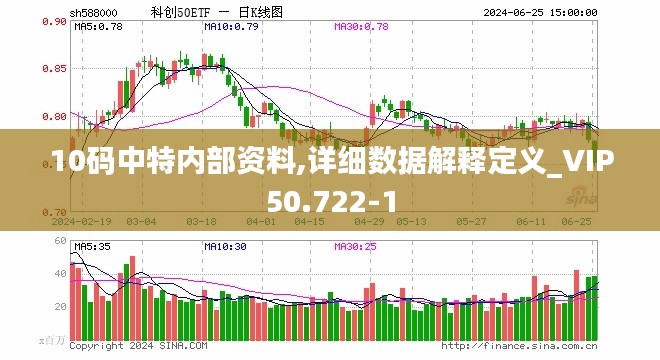 10码中特内部资料,详细数据解释定义_VIP50.722-1