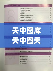 天中图库天中图天中图库汇总,权威方法解析_3K43.236-2