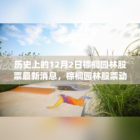 棕榈园林股票动态揭秘，与自然共舞的心灵之旅启程，最新消息一网打尽