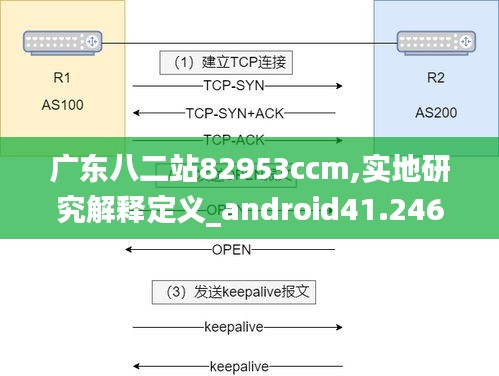 广东八二站82953ccm,实地研究解释定义_android41.246-5