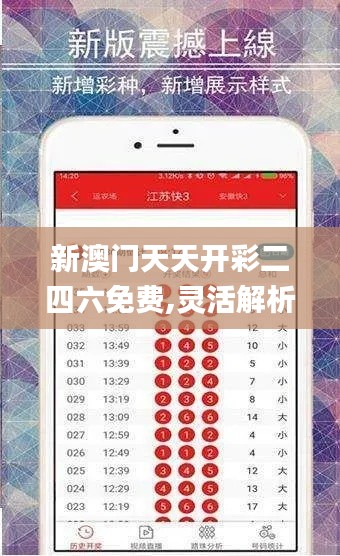 新澳门天天开彩二四六免费,灵活解析方案_复刻版62.711-9