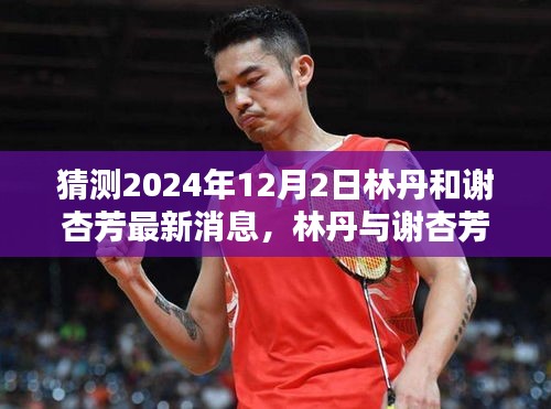 林丹与谢杏芳，2024年12月2日的友情猜想与温馨日常