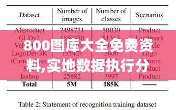 800图库大全免费资料,实地数据执行分析_Advance56.731-4