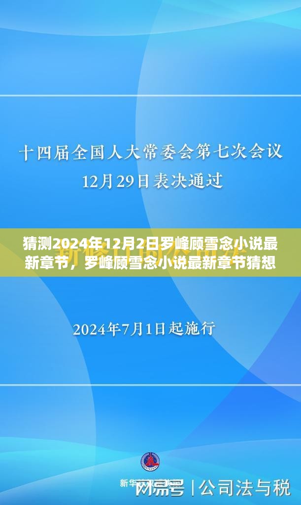 罗峰顾雪念小说最新章节展望，背景、事件与地位猜想