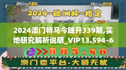 2024澳门特马今晚开339期,实地研究解析说明_VIP13.594-6