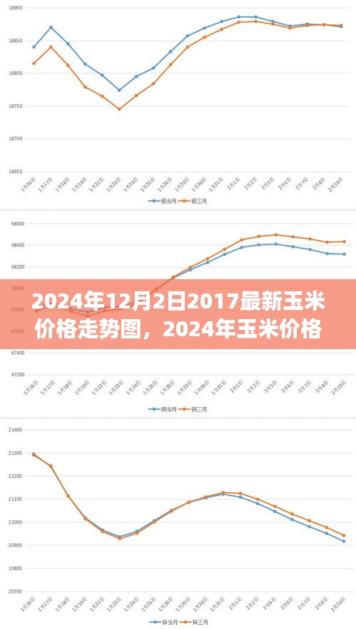 基于最新数据的玉米价格走势分析与预测，2024年市场洞察