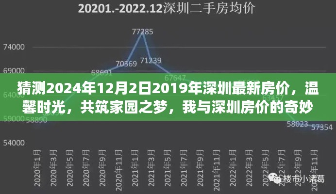 我与深圳房价的猜想之旅，温馨时光下的家园之梦，预测深圳最新房价走向（2024年12月）