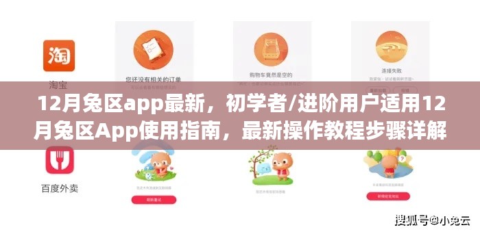 12月兔区App使用指南，从初学者到进阶用户的最新操作教程步骤详解