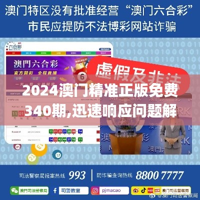 2024澳门精准正版免费340期,迅速响应问题解决_VR62.242-1