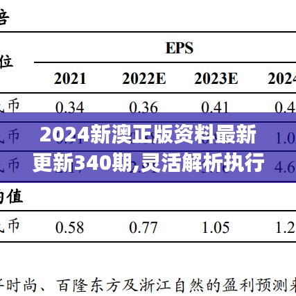 2024新澳正版资料最新更新340期,灵活解析执行_10DM81.300-6