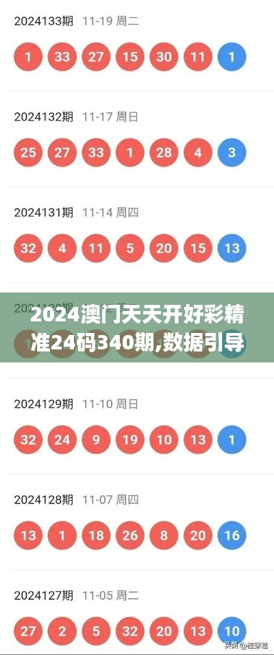 2024澳门天天开好彩精准24码340期,数据引导策略解析_运动版1.445-3