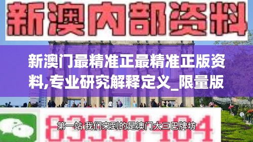 新澳门最精准正最精准正版资料,专业研究解释定义_限量版97.139-2