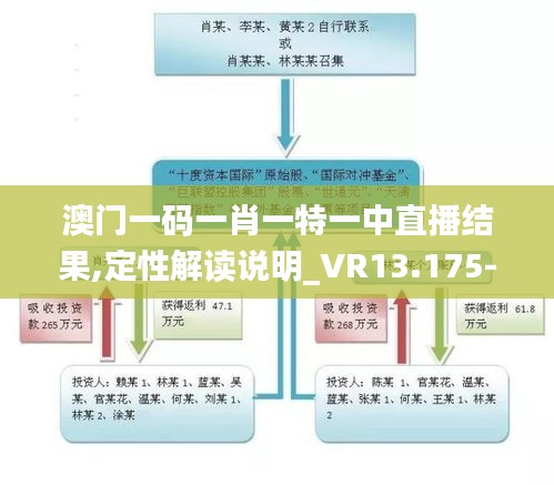 澳门一码一肖一特一中直播结果,定性解读说明_VR13.175-3