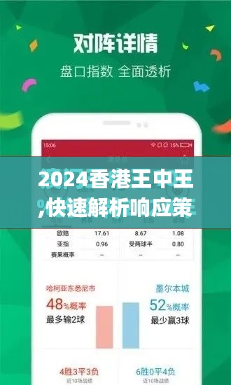 2024香港王中王,快速解析响应策略_X49.562-5