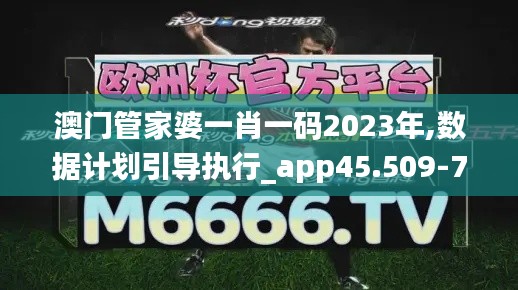 澳门管家婆一肖一码2023年,数据计划引导执行_app45.509-7