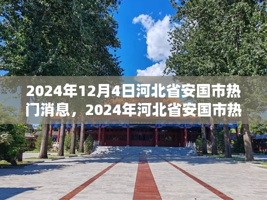 2024年河北省安国市热门消息获取指南，掌握最新资讯获取技能