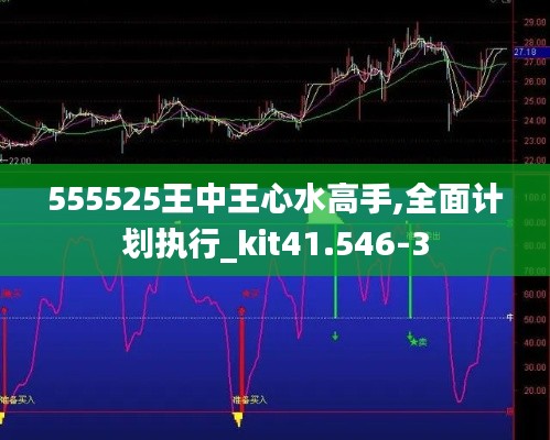 555525王中王心水高手,全面计划执行_kit41.546-3