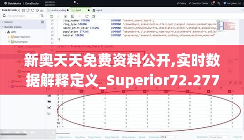 新奥天天免费资料公开,实时数据解释定义_Superior72.277-1