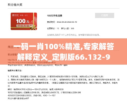 一码一肖100%精准,专家解答解释定义_定制版66.132-9