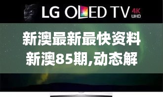 新澳最新最快资料新澳85期,动态解读说明_Tablet69.652-1