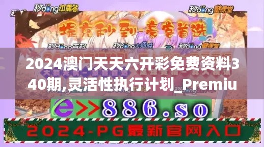 2024澳门天天六开彩免费资料340期,灵活性执行计划_Premium91.903-7