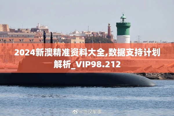 2024新澳精准资料大全,数据支持计划解析_VIP98.212