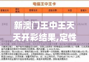 新澳门王中王天天开彩结果,定性分析解释定义_钱包版29.735