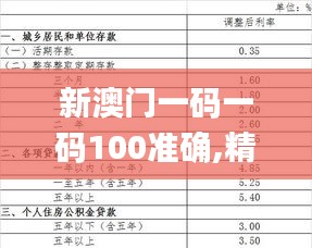 新澳门一码一码100准确,精准实施解析_ChromeOS17.205