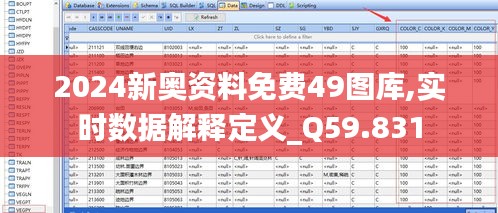 2024新奥资料免费49图库,实时数据解释定义_Q59.831