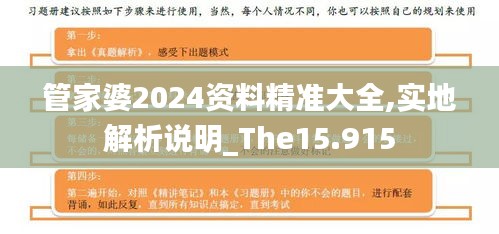 管家婆2024资料精准大全,实地解析说明_The15.915