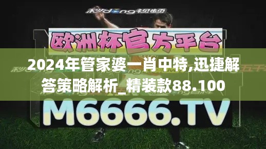 2024年管家婆一肖中特,迅捷解答策略解析_精装款88.100