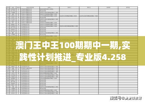 澳门王中王100期期中一期,实践性计划推进_专业版4.258