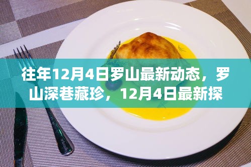 罗山深巷探秘，特色小店非凡之旅的12月4日最新动态