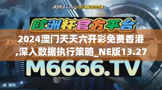 2024澳门天天六开彩免费香港,深入数据执行策略_NE版13.275