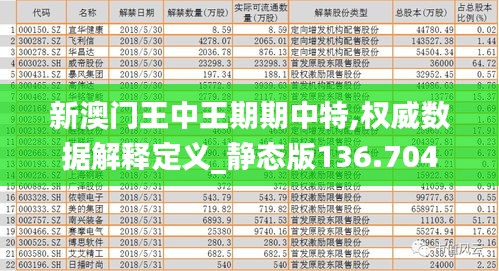 新澳门王中王期期中特,权威数据解释定义_静态版136.704