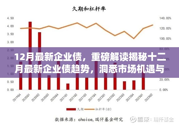 重磅解读，十二月最新企业债趋势揭秘与机遇挑战洞悉——小红书心得分享