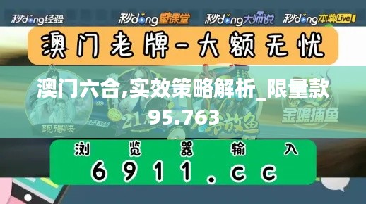 澳门六合,实效策略解析_限量款95.763