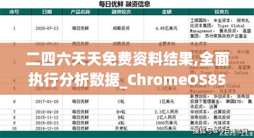 二四六天天免费资料结果,全面执行分析数据_ChromeOS85.110