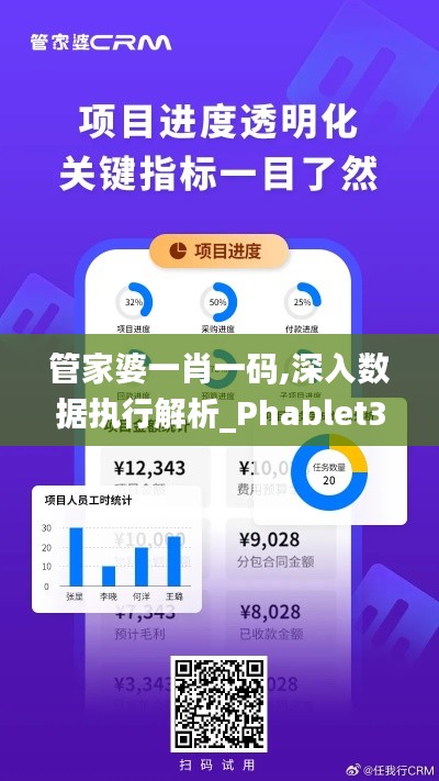 管家婆一肖一码,深入数据执行解析_Phablet30.359