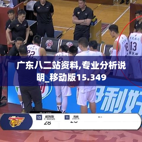 广东八二站资料,专业分析说明_移动版15.349