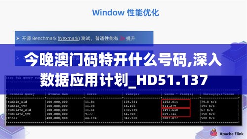 今晚澳门码特开什么号码,深入数据应用计划_HD51.137