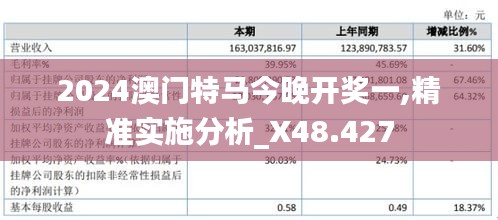 2024澳门特马今晚开奖一,精准实施分析_X48.427