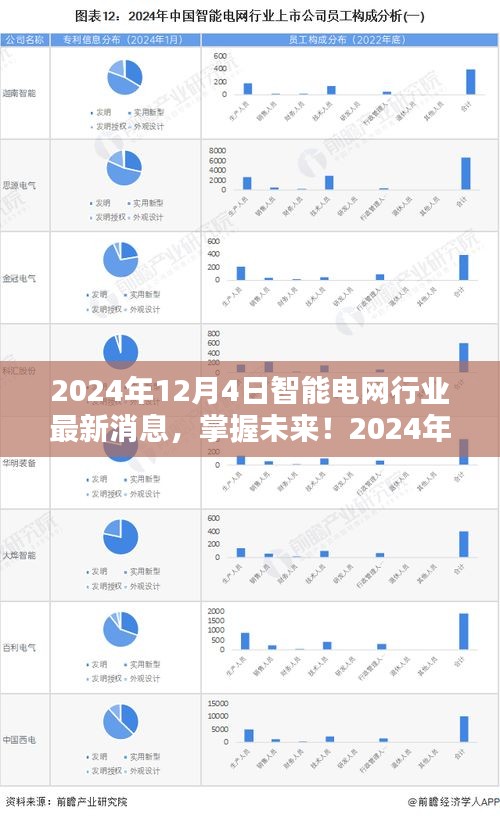 掌握未来！2024年智能电网行业最新消息解析与执行指南