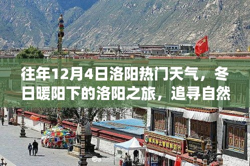 『冬日暖阳下的洛阳之旅，追寻自然美景，探寻内心宁静』