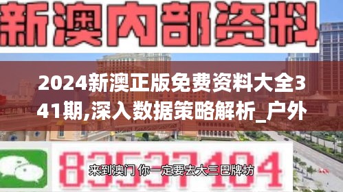 2024新澳正版免费资料大全341期,深入数据策略解析_户外版9.222