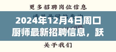 跃动厨界，开启周口厨师成长之旅，最新招聘信息与启航篇章